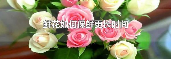 鲜花如何保鲜更长时间