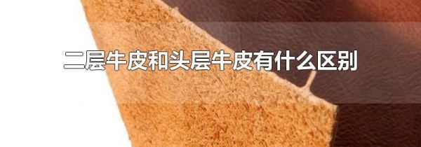 二层牛皮和头层牛皮有什么区别