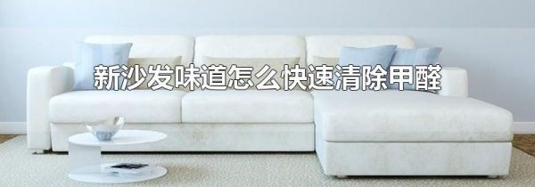 新沙发味道怎么快速清除甲醛
