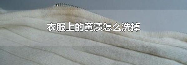 衣服上的黄渍怎么洗掉
