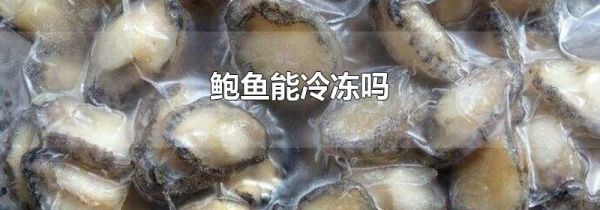 鲍鱼能冷冻吗