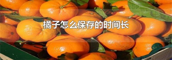橘子怎么保存的时间长