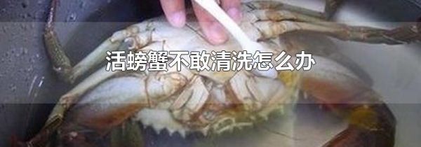 活螃蟹不敢清洗怎么办