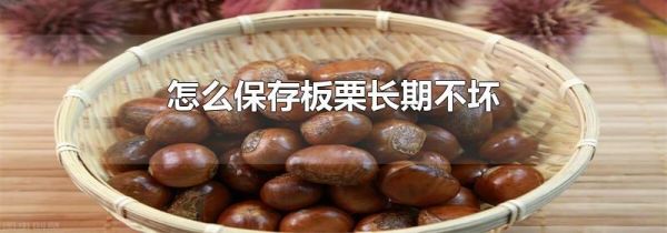怎么保存板栗长期不坏