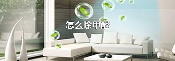 怎么除甲醛