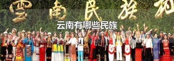 云南有哪些民族