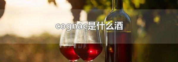 cognac是什么酒
