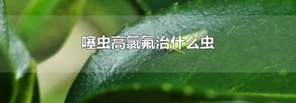 噻虫高氯氟治什么虫