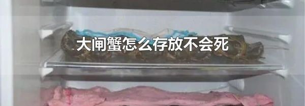 大闸蟹怎么存放不会死