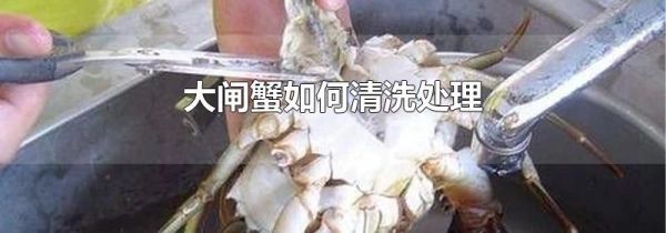 大闸蟹如何清洗处理