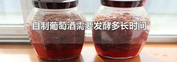 自制葡萄酒需要发酵多长时间