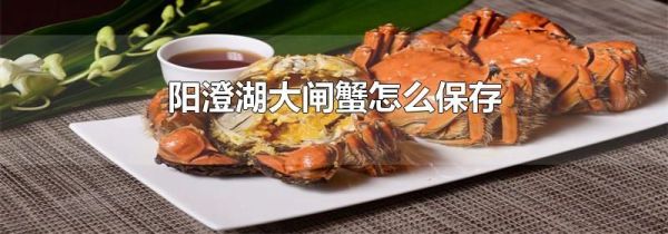 阳澄湖大闸蟹怎么保存