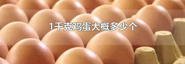 1千克鸡蛋大概多少个