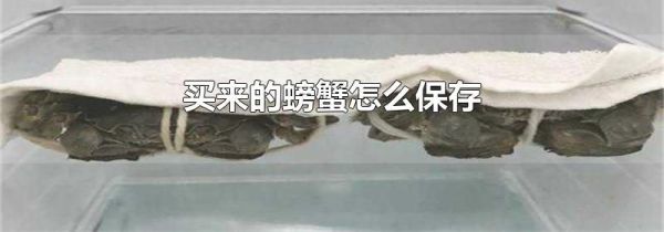 买来的螃蟹怎么保存