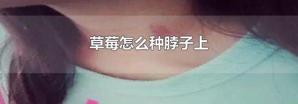 草莓怎么种脖子上