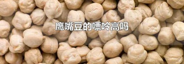 鹰嘴豆的嘌呤高吗