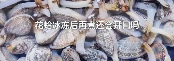 花蛤冰冻后再煮还会开口吗