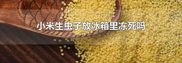 小米生虫子放冰箱里冻死吗