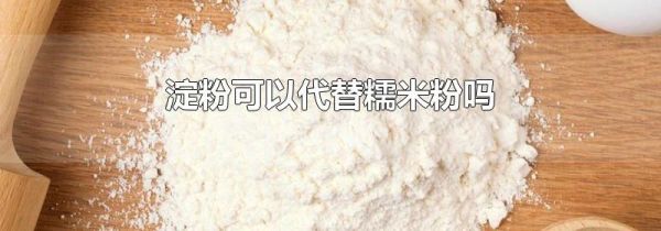 淀粉可以代替糯米粉吗