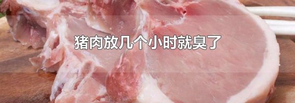 猪肉放几个小时就臭了
