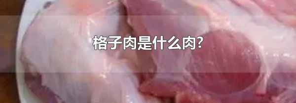 格子肉是什么肉?
