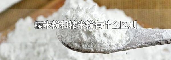 糯米粉和粘米粉有什么区别