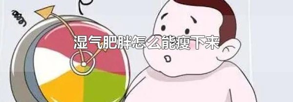 湿气肥胖怎么能瘦下来