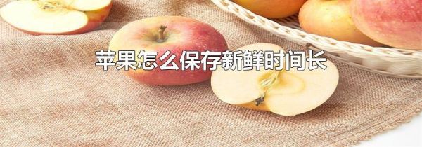 苹果怎么保存新鲜时间长