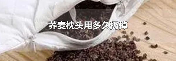 荞麦枕头用多久扔掉