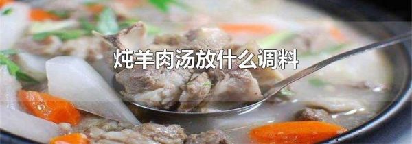 炖羊肉汤放什么调料