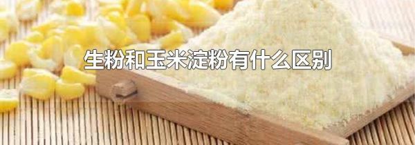 生粉和玉米淀粉有什么区别