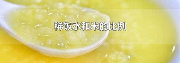 稀饭水和米的比例