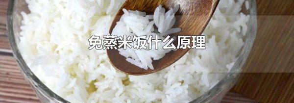 免蒸米饭什么原理