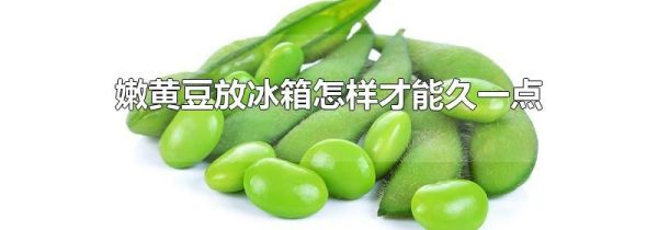 嫩黄豆放冰箱怎样才能久一点