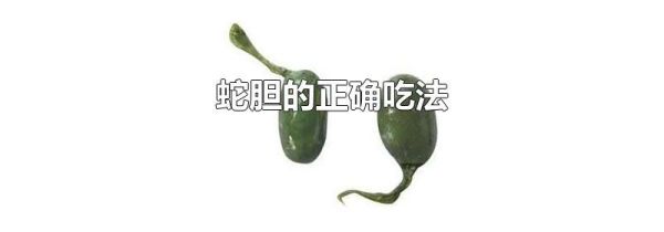 蛇胆的正确吃法