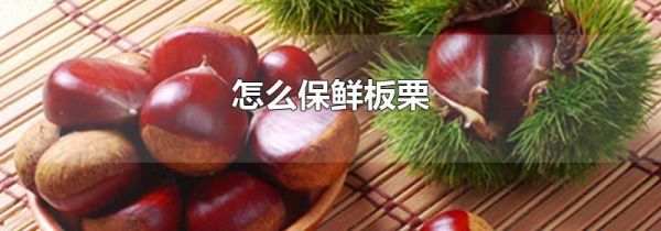 怎么保鲜板栗