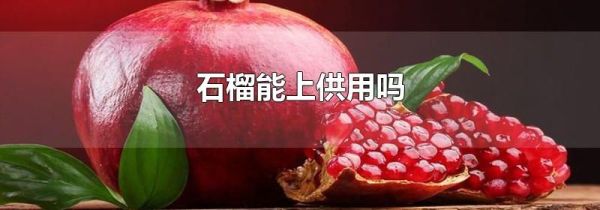 石榴能上供用吗