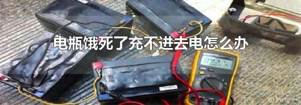 电瓶饿死了充不进去电怎么办