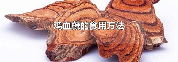 鸡血藤的食用方法