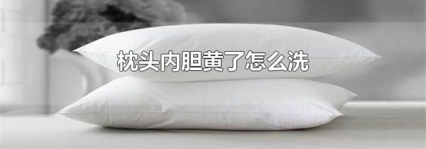 枕头内胆黄了怎么洗