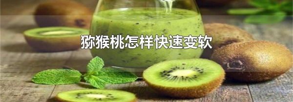 猕猴桃怎样快速变软