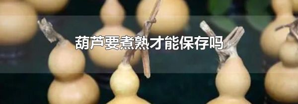 葫芦要煮熟才能保存吗