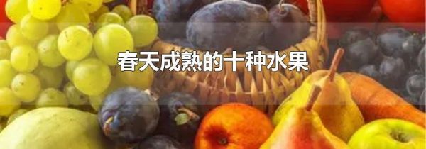 春天成熟的十种水果