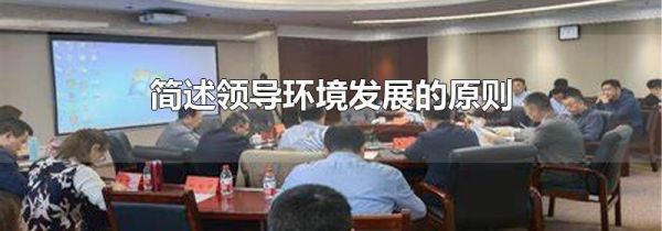 简述领导环境发展的原则