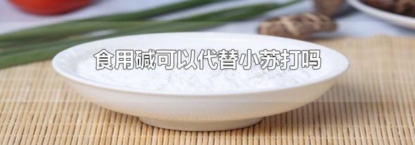 食用碱可以代替小苏打吗
