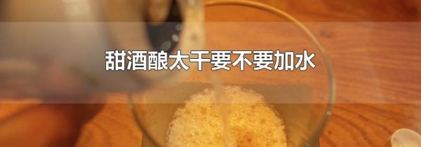 甜酒酿太干要不要加水