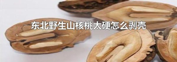 东北野生山核桃太硬怎么剥壳