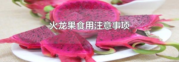 火龙果食用注意事项