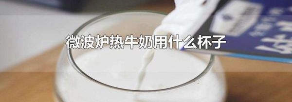 微波炉热牛奶用什么杯子