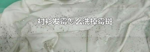 衬衫发霉怎么洗掉霉斑